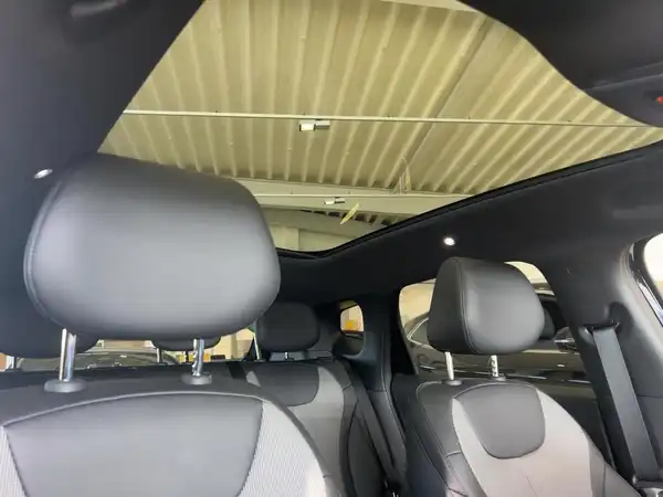 BYD Dolphin G DM-i Comfort (14/15)
