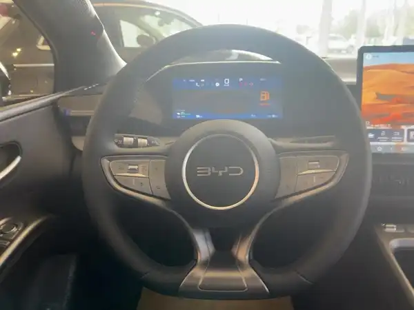 BYD Dolphin G DM-i Comfort (9/15)