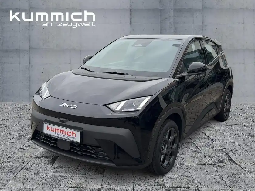 BYD DOLPHIN SURF Boost (1/16)