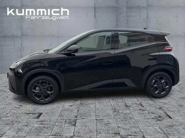 BYD DOLPHIN SURF Boost (6/15)