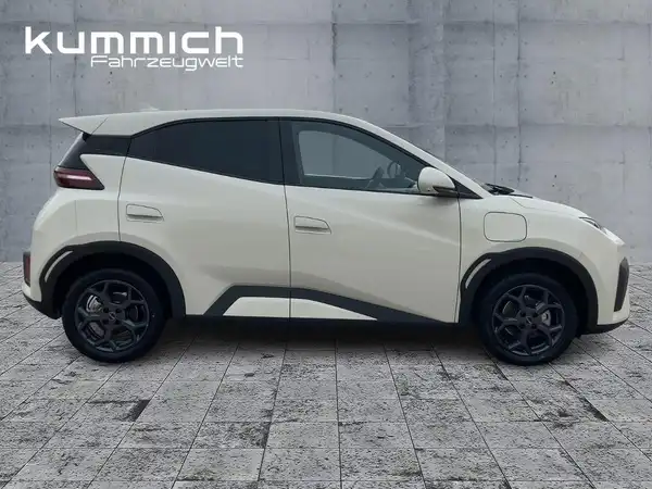 BYD DOLPHIN SURF Boost (3/15)