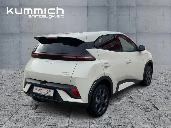 BYD DOLPHIN SURF Boost (4/15)