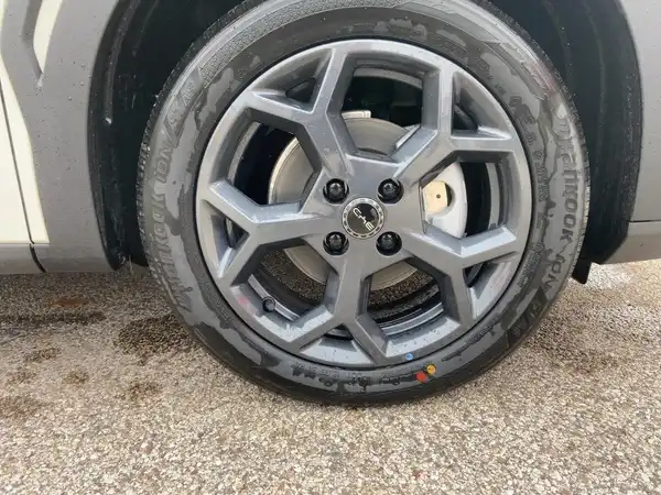 BYD DOLPHIN SURF Comfort (7/15)