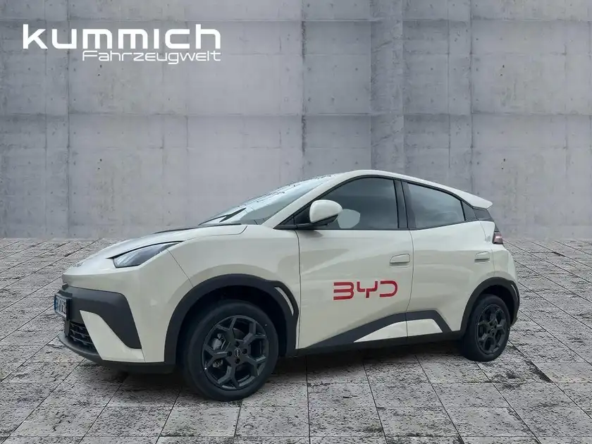 BYD DOLPHIN SURF Boost (1/16)