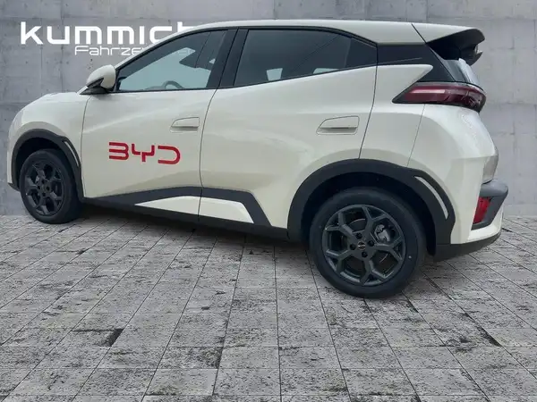 BYD DOLPHIN SURF Boost (6/15)