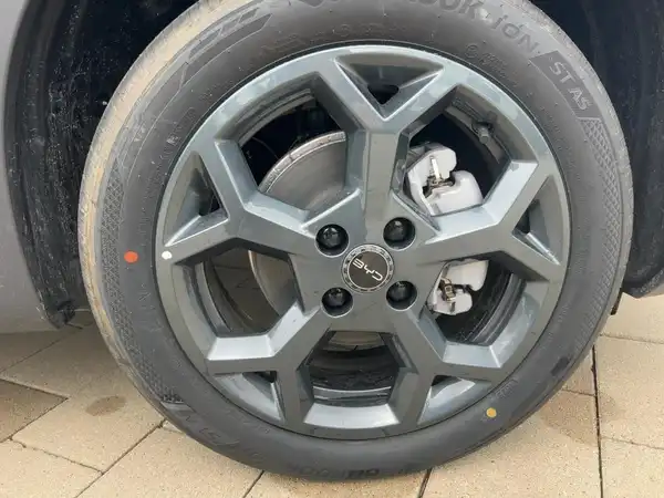 BYD DOLPHIN SURF Boost (7/15)