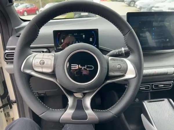 BYD DOLPHIN SURF Boost (9/15)