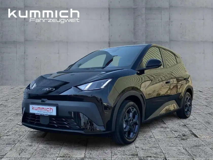 BYD DOLPHIN SURF Comfort (1/16)