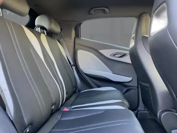 BYD DOLPHIN SURF Comfort (12/15)