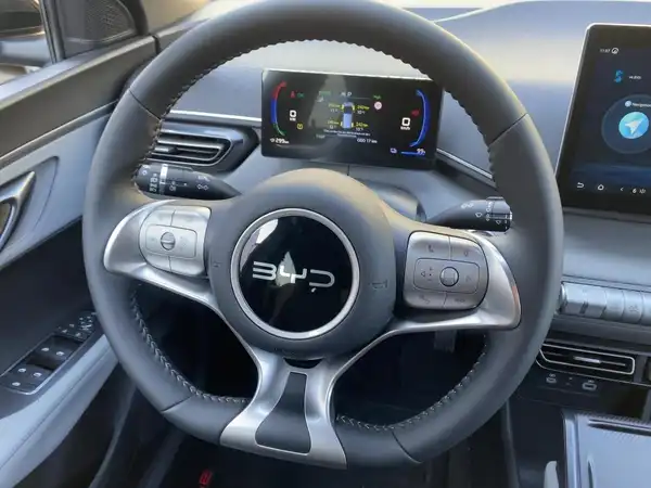 BYD DOLPHIN SURF Comfort (9/15)