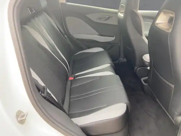 BYD DOLPHIN SURF Comfort (12/15)