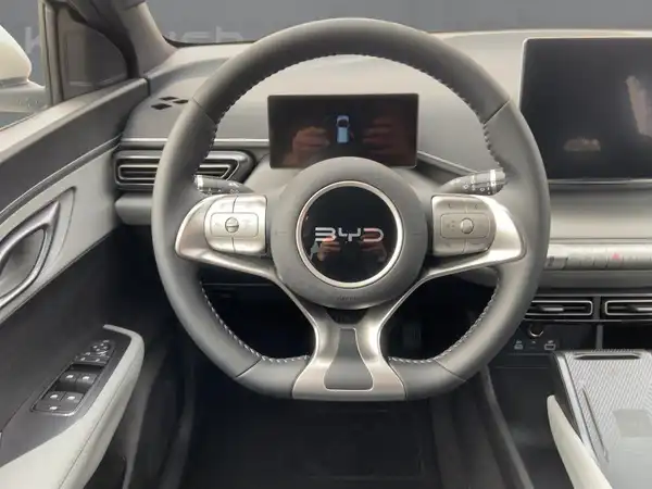 BYD DOLPHIN SURF Comfort (9/15)