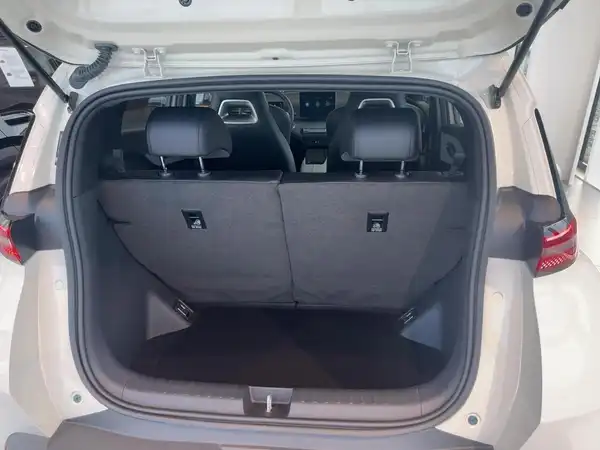BYD DOLPHIN SURF Boost (13/15)