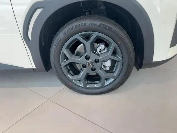 BYD DOLPHIN SURF Boost (7/15)