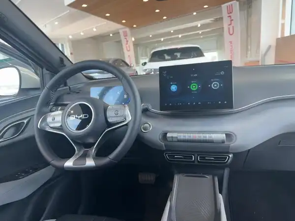BYD DOLPHIN SURF Boost (8/15)