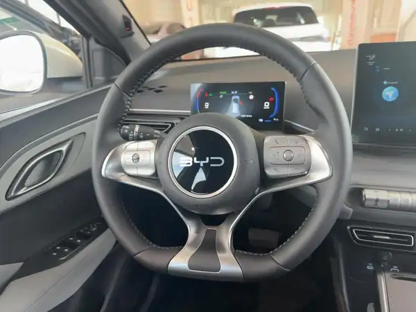 BYD DOLPHIN SURF Boost (9/15)