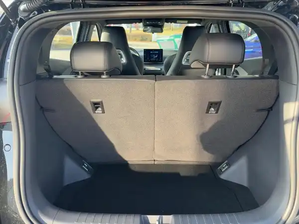 BYD DOLPHIN SURF Boost (13/15)