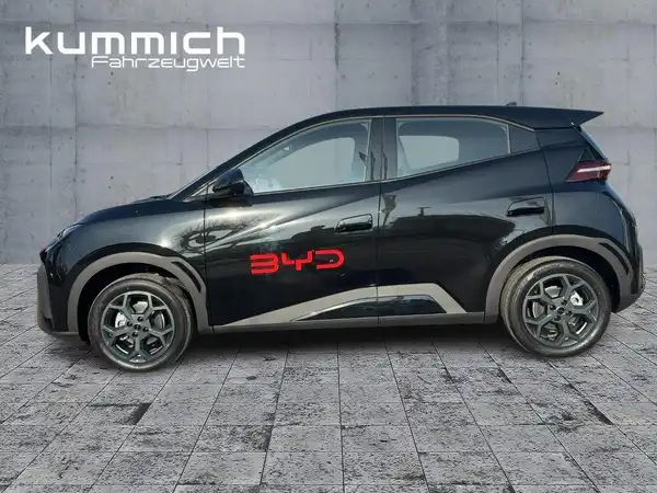 BYD DOLPHIN SURF Boost (6/15)