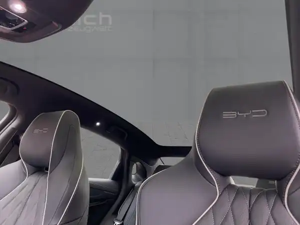 BYD SEAL Comfort (14/15)