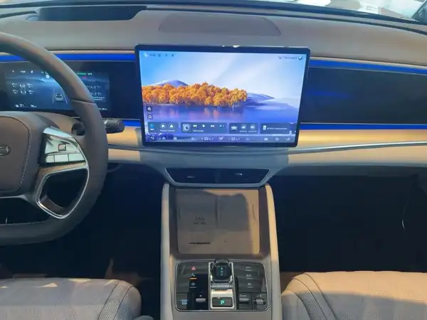 BYD SEALION 7 Excellence (10/15)