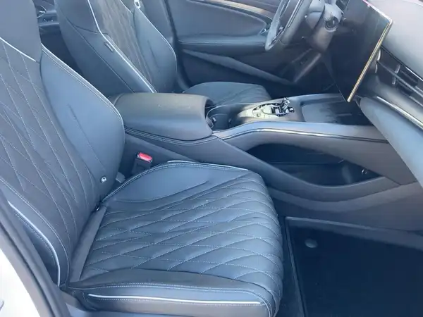 BYD SEAL Comfort (11/15)