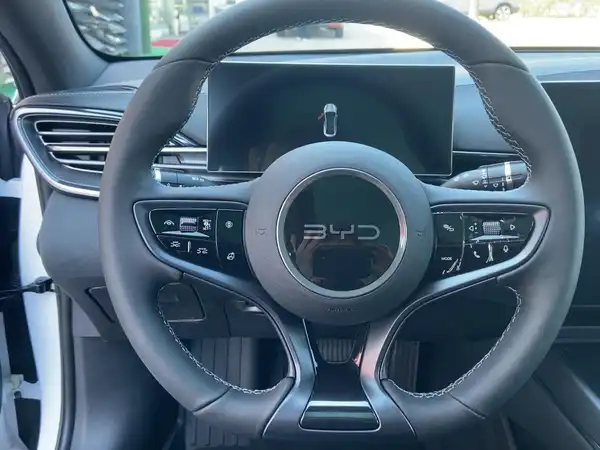 BYD SEAL Comfort (9/15)