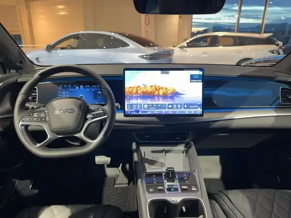 BYD SEALION 7 Comfort (8/15)