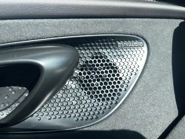 BYD SEAL EXCELLENCE (15/21)