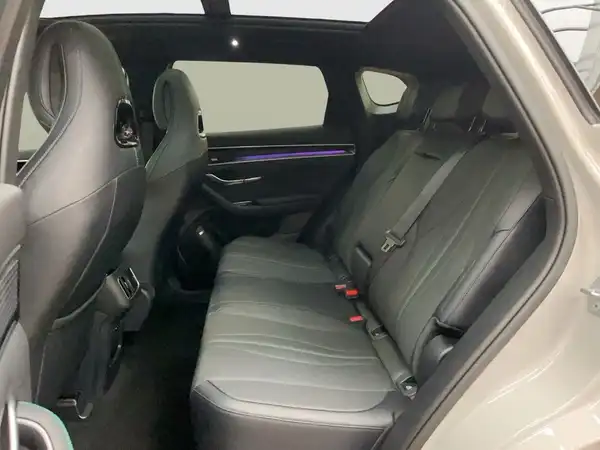BYD SEAL U (13/14)