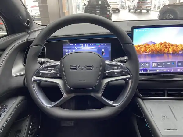 BYD SEALION 7 Design AWD 82,5kWh 530PS (10/15)