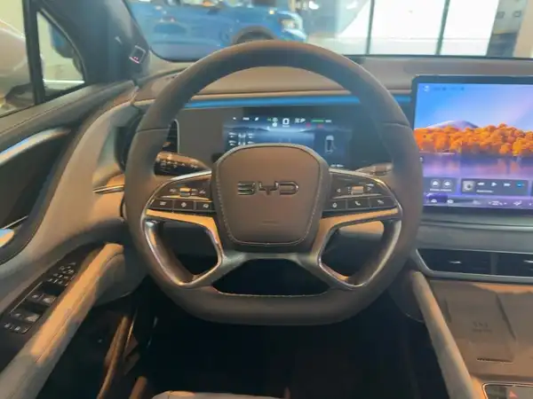 BYD SEALION 7 Excellence (9/15)
