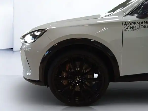 CUPRA FORMENTOR (6/14)