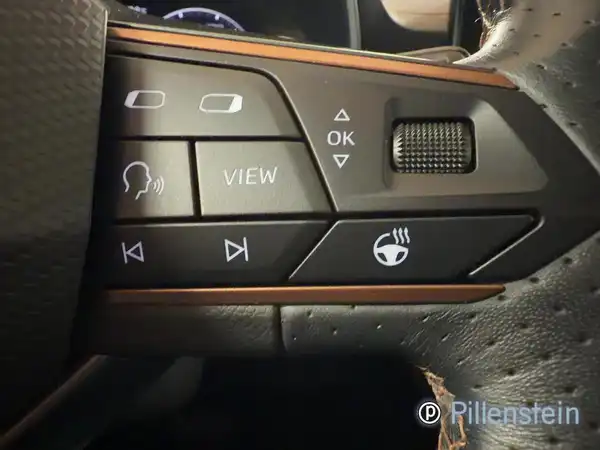 CUPRA FORMENTOR (13/15)