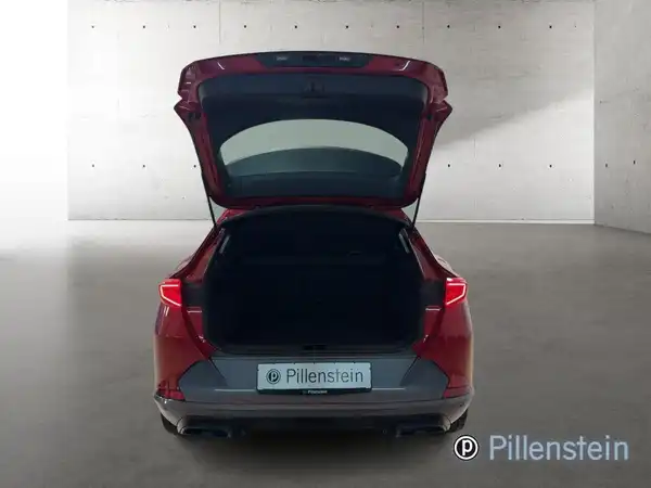 CUPRA FORMENTOR (15/15)