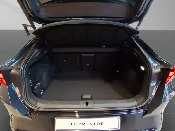 CUPRA FORMENTOR (13/14)