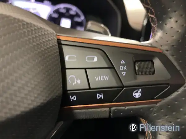 CUPRA FORMENTOR (14/16)