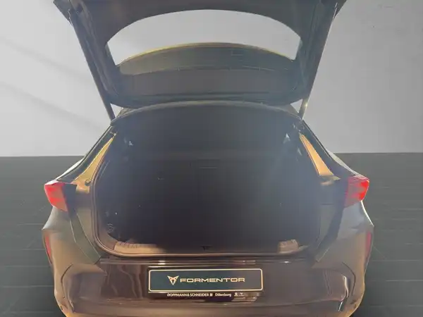 CUPRA FORMENTOR (17/20)