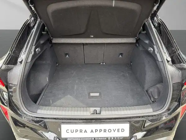 CUPRA TERRAMAR (15/17)