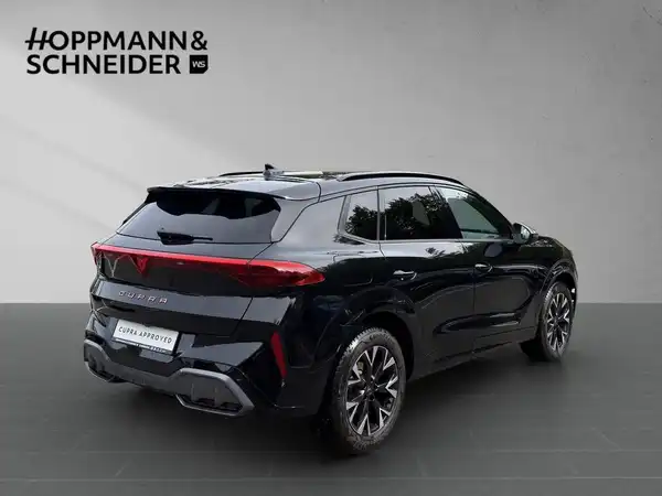 CUPRA TERRAMAR (4/17)