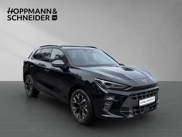CUPRA TERRAMAR (6/17)