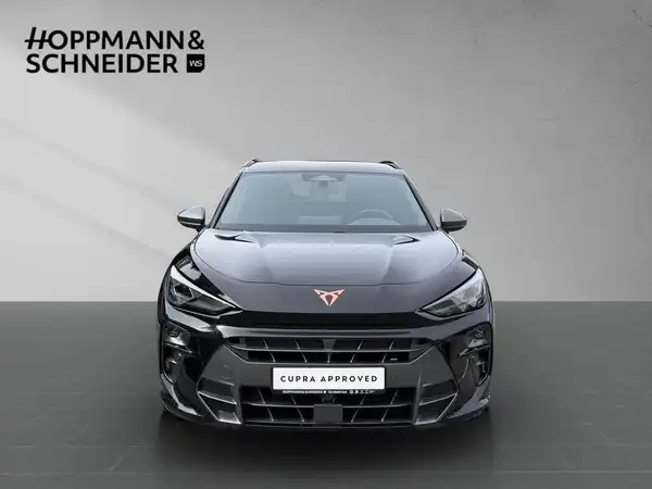 CUPRA TERRAMAR (7/17)