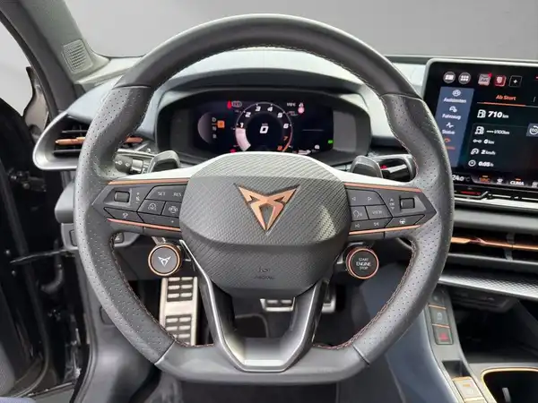 CUPRA TERRAMAR (9/17)