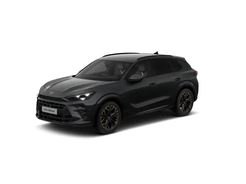 CUPRA TERRAMAR (1/10)