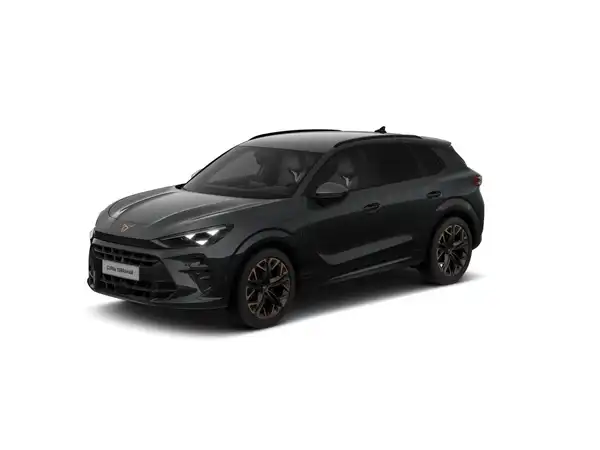 CUPRA TERRAMAR (1/10)