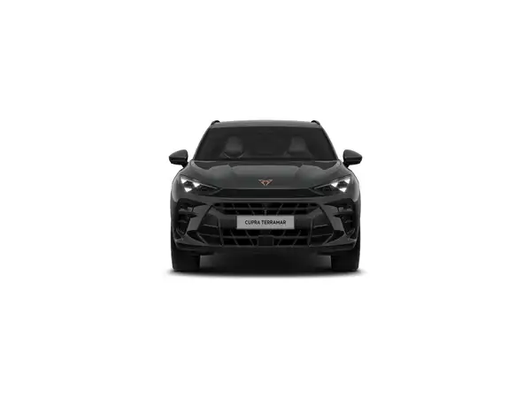 CUPRA TERRAMAR (2/10)