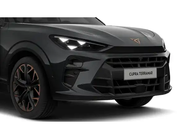 CUPRA TERRAMAR (7/10)