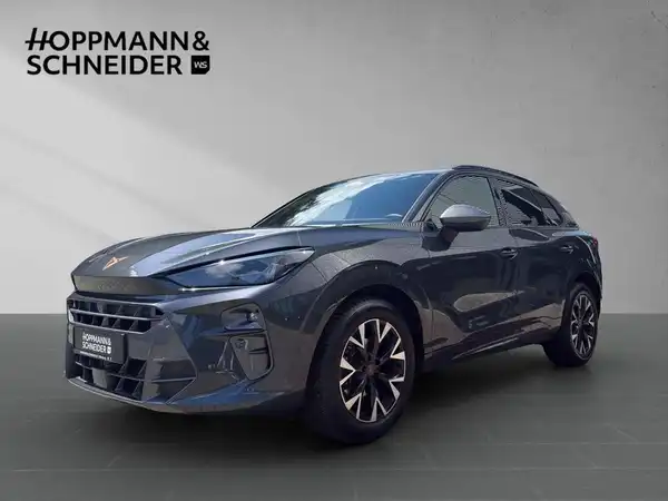 CUPRA TERRAMAR (1/19)