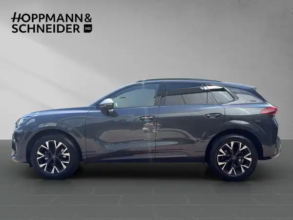 CUPRA TERRAMAR (2/19)