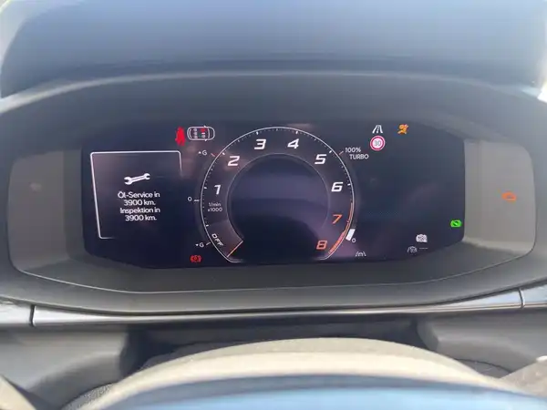 CUPRA TERRAMAR (11/19)
