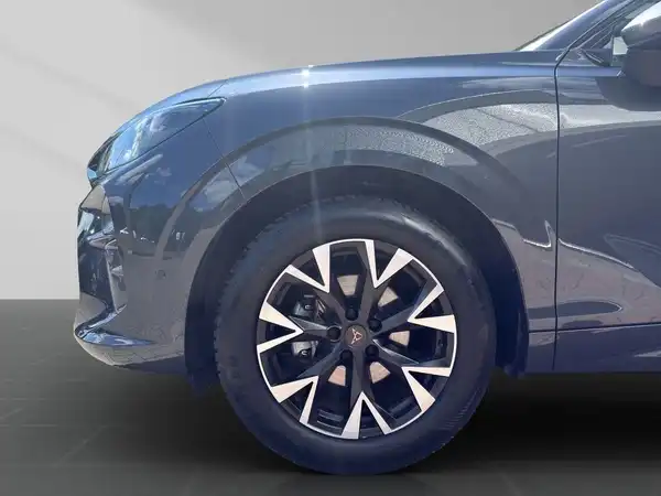 CUPRA TERRAMAR (19/19)